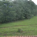 Mostheuriger Steyrdurchbruchalm Appartement Leonstein