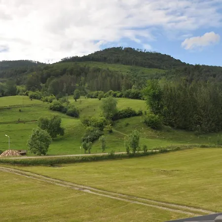 Mostheuriger Steyrdurchbruchalm *