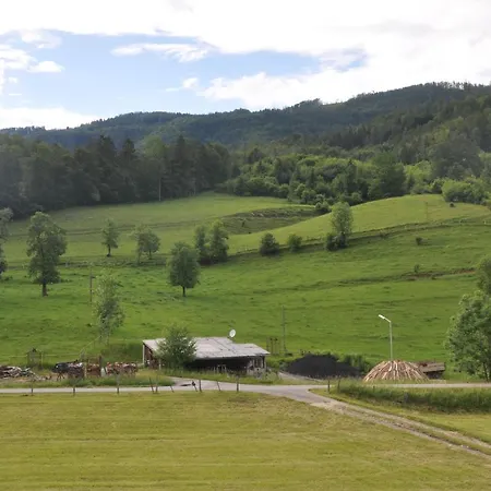 Mostheuriger Steyrdurchbruchalm