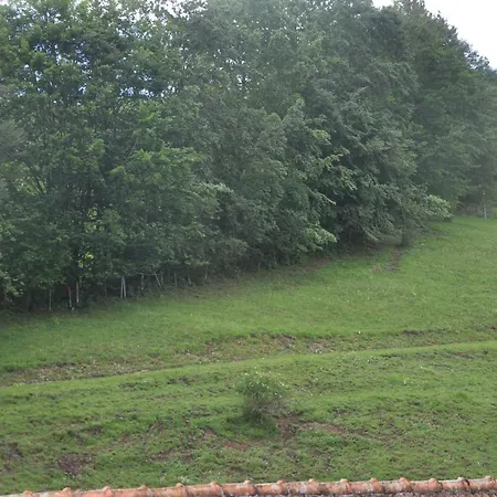 Mostheuriger Steyrdurchbruchalm Apartment Leonstein