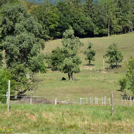 Mostheuriger Steyrdurchbruchalm Apartment *