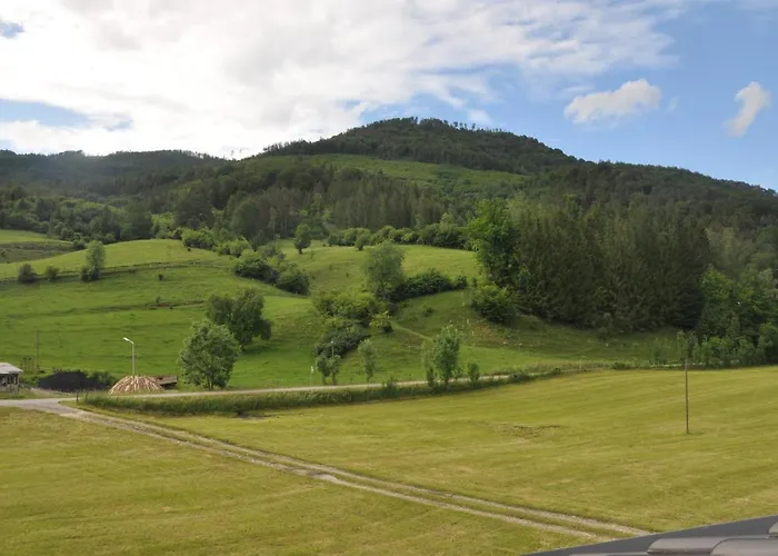 Mostheuriger Steyrdurchbruchalm *