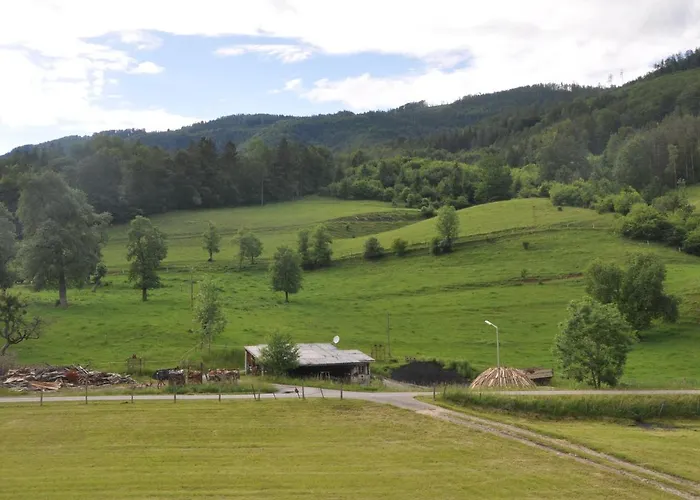 Mostheuriger Steyrdurchbruchalm