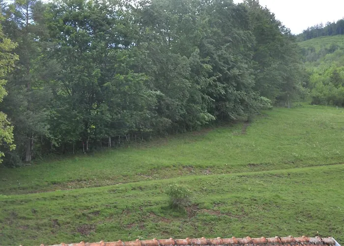 Mostheuriger Steyrdurchbruchalm アパート Leonstein