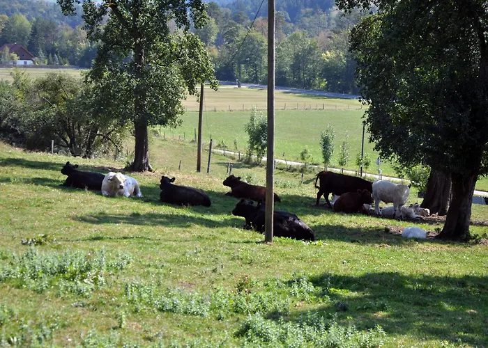 Mostheuriger Steyrdurchbruchalm