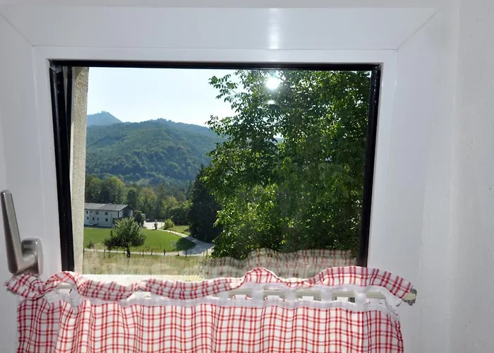 Mostheuriger Steyrdurchbruchalm Apartment Leonstein