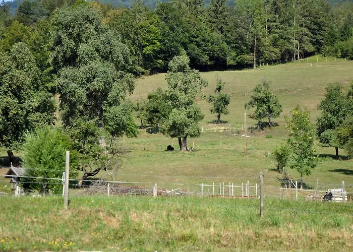 Mostheuriger Steyrdurchbruchalm Apartment *