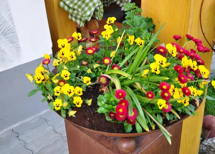 Mostheuriger Steyrdurchbruchalm Διαμέρισμα