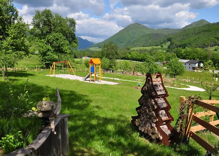 Apartment Mostheuriger Steyrdurchbruchalm Leonstein