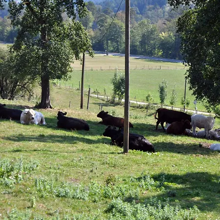 Mostheuriger Steyrdurchbruchalm