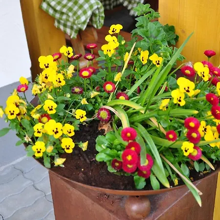 Mostheuriger Steyrdurchbruchalm Апартаменты